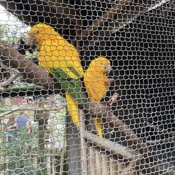 St. Augustine Alligator Farm Zoological Park - Zoos Near Me - Saint Augustine, Florida St. Augustine Alligator Farm Zoological Park - Zoos Near Me - Saint Augustine, Florida