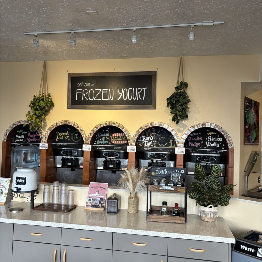 Active Culture - Frozen Yogurt area - Vegetarian Near Me - San Clemente, California Active Culture - Frozen Yogurt area - Vegetarian Near Me - San Clemente, California