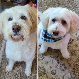 Before and After