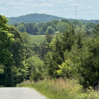 Thickety Mountain - Thickety Mountain in the distance! - Local Flavor Near Me - Cherokee County, South Carolina Thickety Mountain - Thickety Mountain in the distance! - Local Flavor Near Me - Cherokee County, South Carolina
