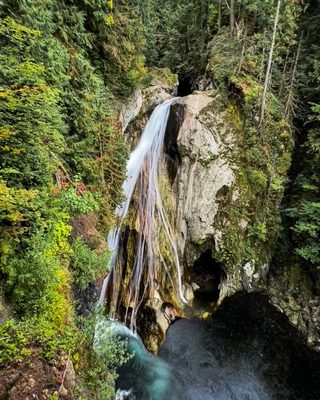 Twin Falls Natural Area by null