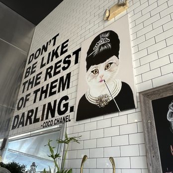 Black Sheep Burgers - Burgers Near Me - Los Angeles, California Black Sheep Burgers - Burgers Near Me - Los Angeles, California