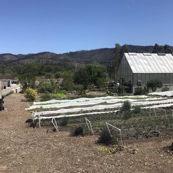 Flatbed Farm - Farmers Market Near Me - Glen Ellen, California Flatbed Farm - Farmers Market Near Me - Glen Ellen, California
