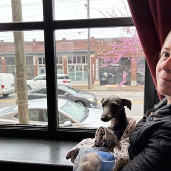 The FEED Co Table & Tavern - Dogba at window watching the snow - Bars Near Me - Chattanooga, Tennessee The FEED Co Table & Tavern - Dogba at window watching the snow - Bars Near Me - Chattanooga, Tennessee