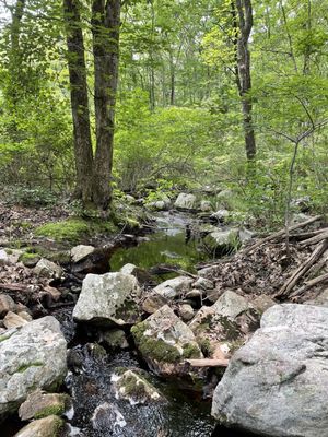Harriman State Park by null