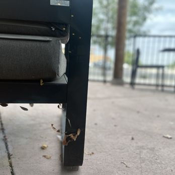 Starbucks - Patio, spiderwebs all over the place that's why there's no one sitting out here - Coffee & Tea Near Me - Albuquerque, New Mexico