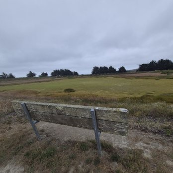 Bird Walk Coastal Access Trail - Bird watching bench - Parks Near Me - Bodega Bay, California Bird Walk Coastal Access Trail - Bird watching bench - Parks Near Me - Bodega Bay, California