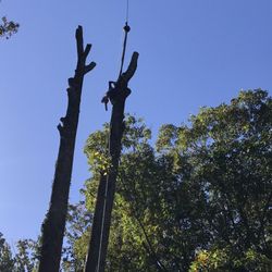 Oak Hill Tree Service