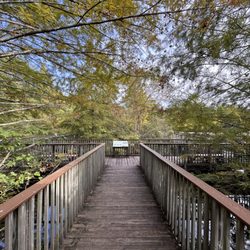 Warm Springs Regional Fisheriescenter - Walkway