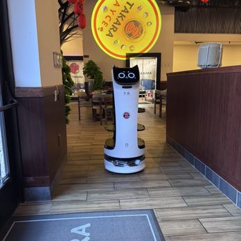 Takara - The cute little robot coming with our food - Sushi Bars Near Me - Irving, Texas