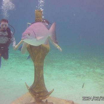 Chankanaab - Dive - Water Parks Near Me - Cozumel, ROO