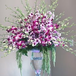 Julie's Flowers - Orchids