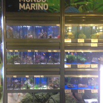Verdecora - Pet Stores Near Me - València, V