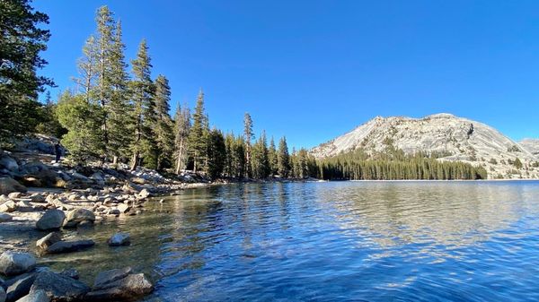 Tenaya Lake by null
