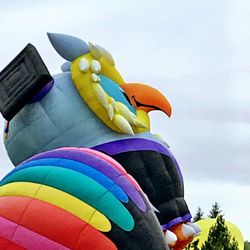Festival of Balloons in Tigard - Mr. Owl rises to the occasion. :)