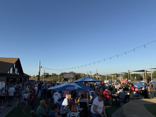 Frankie Martin's Garden by null