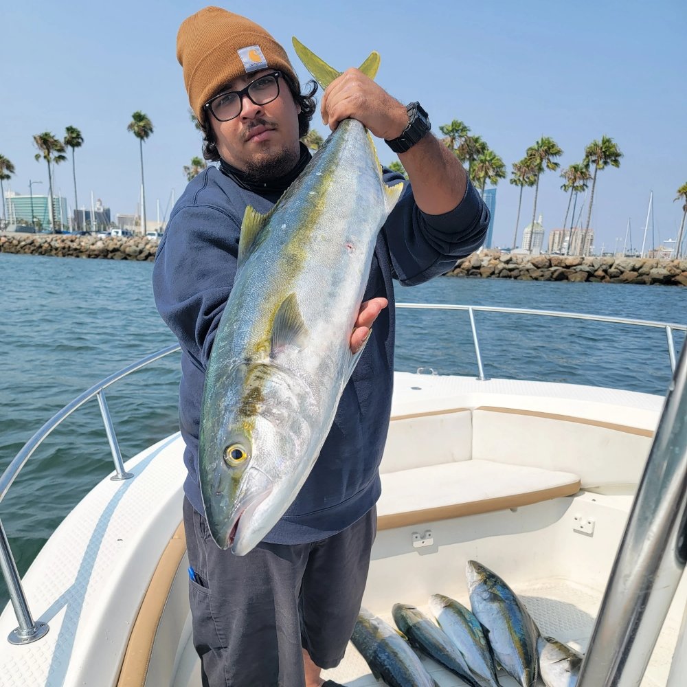 Aria Sportfishing Logo