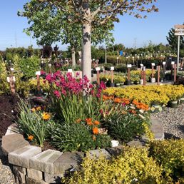 Nurseries & Gardening in Sacramento - Yelp