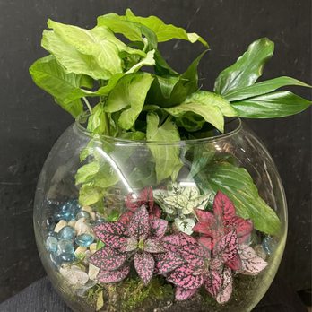The White Lotus Florist - Sympathy terrarium with a blue bird tucked away in there. - Florists Near Me - Cerritos, California The White Lotus Florist - Sympathy terrarium with a blue bird tucked away in there. - Florists Near Me - Cerritos, California