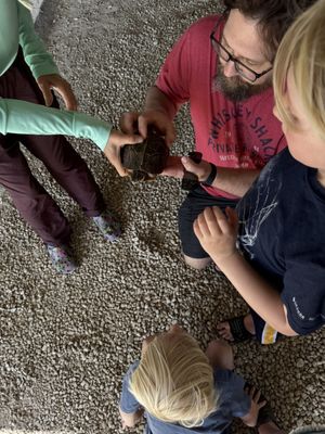 Clinic for the Rehabilitation of Wildlife (CROW) - Visitor Education Center by null