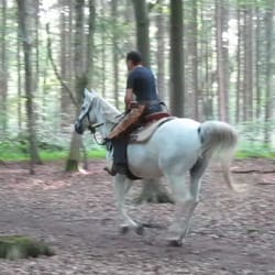 HorseSpirit
