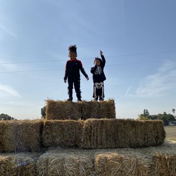 Keema's Pumpkin Farm - Hay Pyramid - CSA Near Me - Elk Grove, California