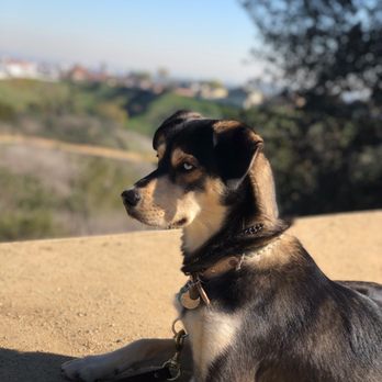 Hero Dog Training - Pet Training Near Me Hero Dog Training - Pet Training Near Me