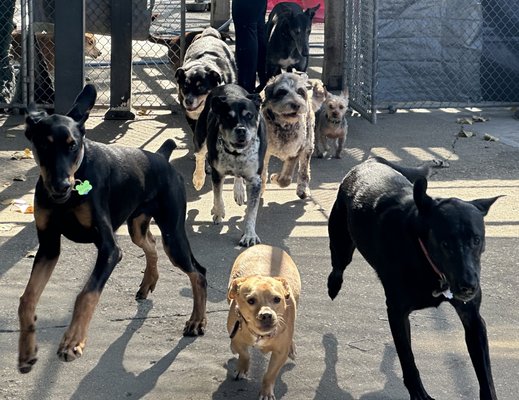 DoGone Fun Resort by null