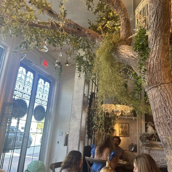 Glimmer Cafe - Cafes Near Me - Delray Beach, Florida Glimmer Cafe - Cafes Near Me - Delray Beach, Florida
