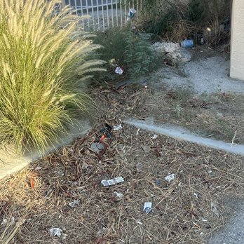 Cimarron Golf Resort - More trash and brush in parking lot. - Golf Near Me - Cathedral City, California Cimarron Golf Resort - More trash and brush in parking lot. - Golf Near Me - Cathedral City, California