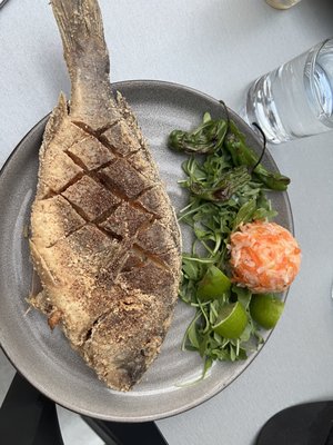 Chúuk | Mexican Kitchen and Bar by null