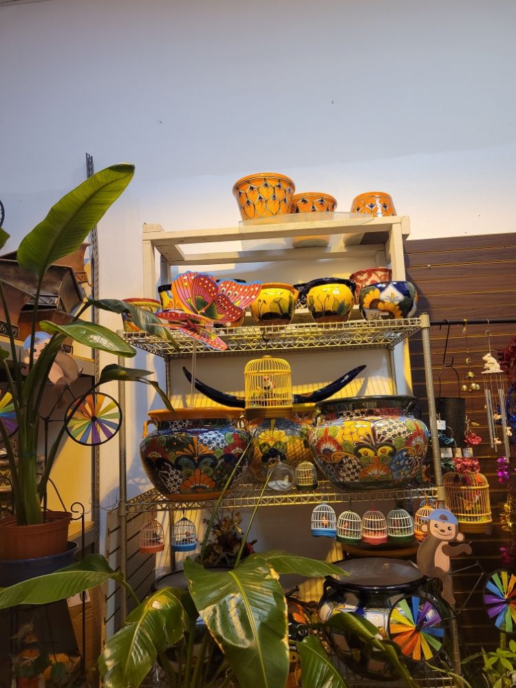 Plants Garden Decor and Crafts Image