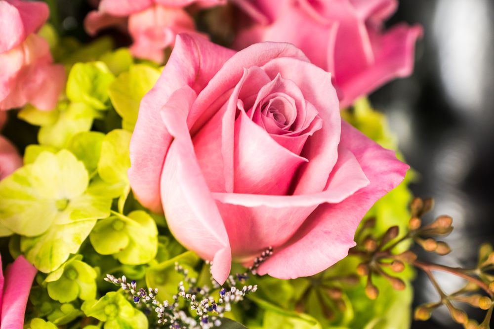 Flowers Plus