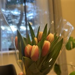 46 Farmer's Market - Got this beautiful tulops for $7