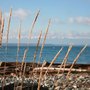 Photo of Mary Matthew, Whidbey Island Broker