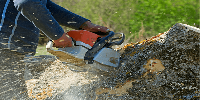 City of Churches Tree Services - tree service in Fort Wayne, IN