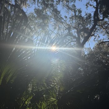 Green Springs Park - Hiking Near Me - Deltona, Florida