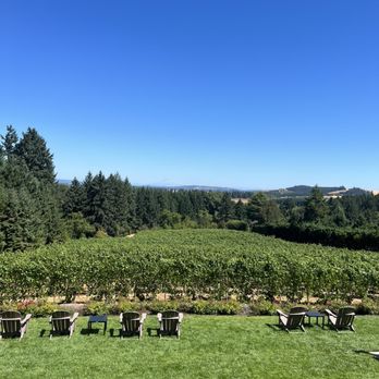 Sidereus Vineyard and Winery - Wineries Near Me - Cornelius, Oregon Sidereus Vineyard and Winery - Wineries Near Me - Cornelius, Oregon