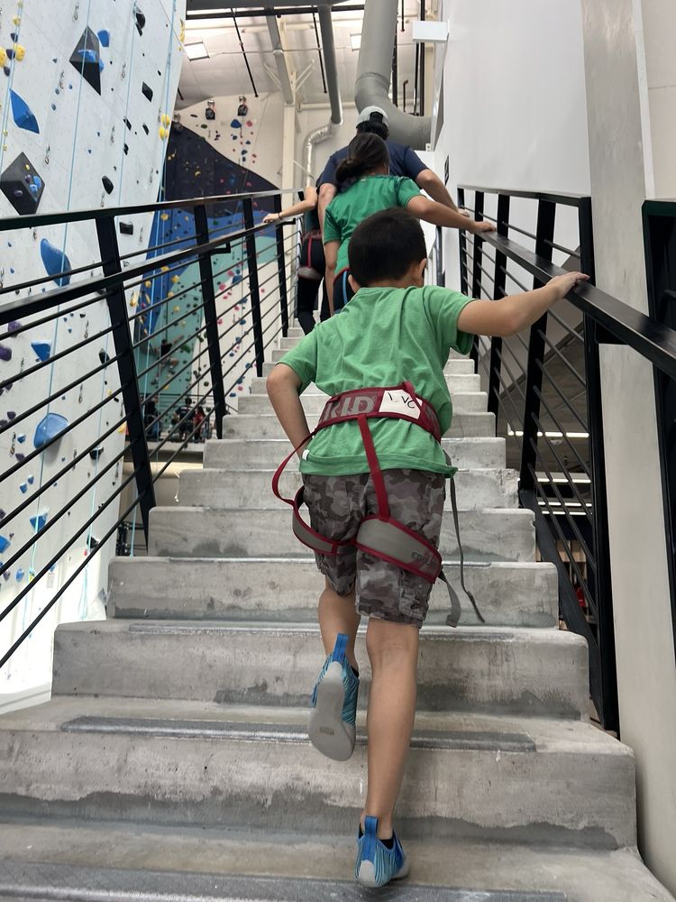 Velocity Climbing Logo