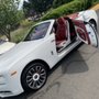 Photo of Superlative Auto Detail