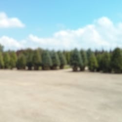 Tree Valley Garden Centre - Tree inventory