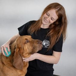 D Pet Hotels Austin - Tori - Groomer