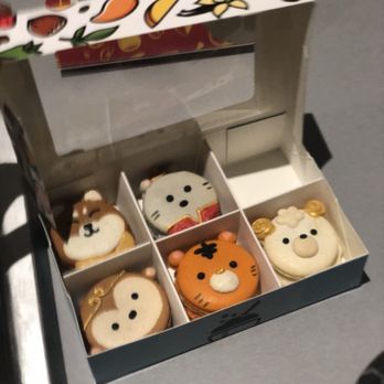 Daan Go Cake Lab - Desserts Near Me - Toronto, Ontario