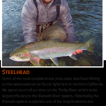 Reel Adventures Guide Service - Fishing Near Me