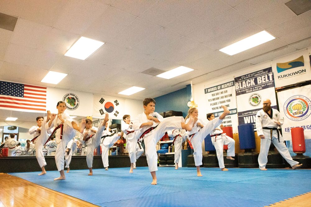 C3 Martial Arts Academy Logo