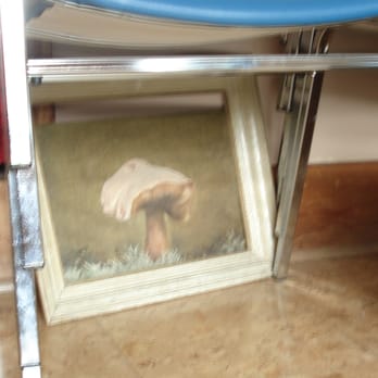 Scarlet Ibis - Funky fungi, under a stack of chairs. - Burgers Near Me - Holberg, British Columbia