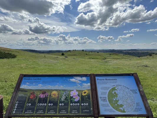 Theodore Roosevelt National Park by null
