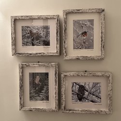 Moose Prints Gallery and Gifts - Maine wildlife by Mark Picard and Anita Mseller