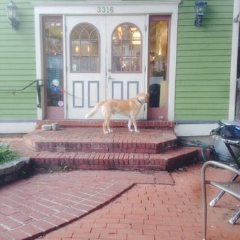Coffee Emporium - Doggy parked in front of the door. - Coffee & Tea Near Me - Cincinnati, Ohio Coffee Emporium - Doggy parked in front of the door. - Coffee & Tea Near Me - Cincinnati, Ohio