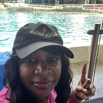 Dine With Orcas - Buffets Near Me - San Diego, California Dine With Orcas - Buffets Near Me - San Diego, California